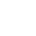 D1