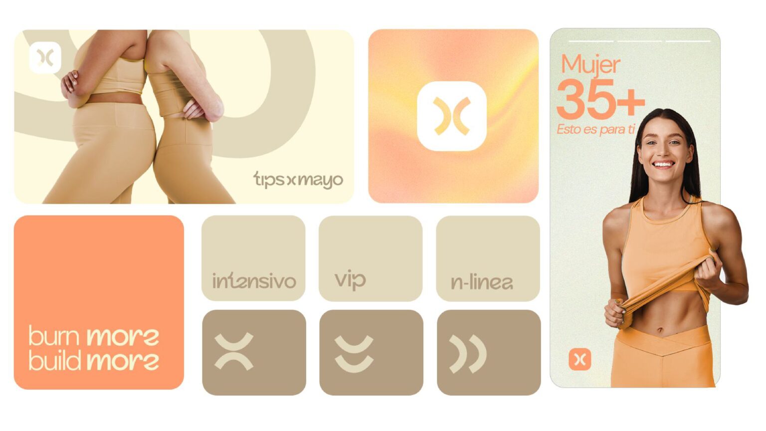 Sistema visual de Tips by Mayo